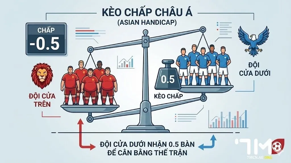 Các loại tỷ lệ phổ biến